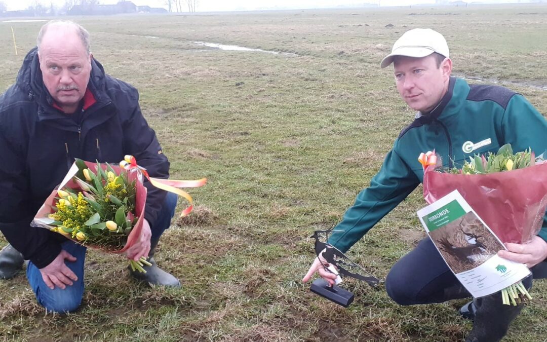 Het eerste kievitsei is gevonden!