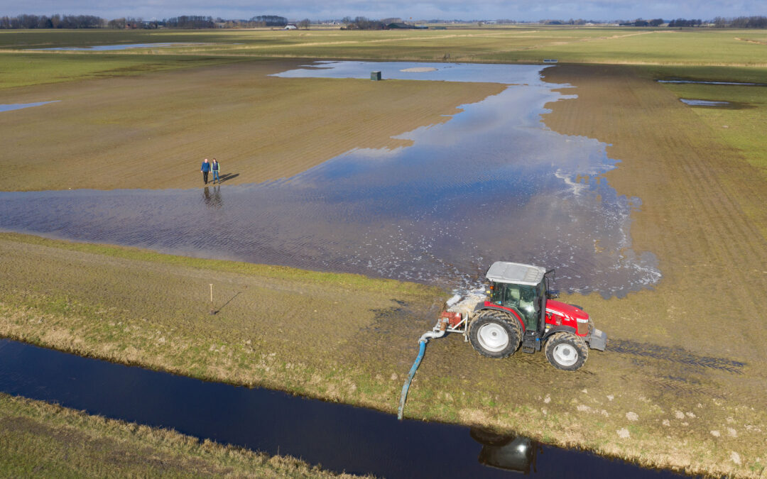 Steeds meer boeren maken land nat voor weidevogels