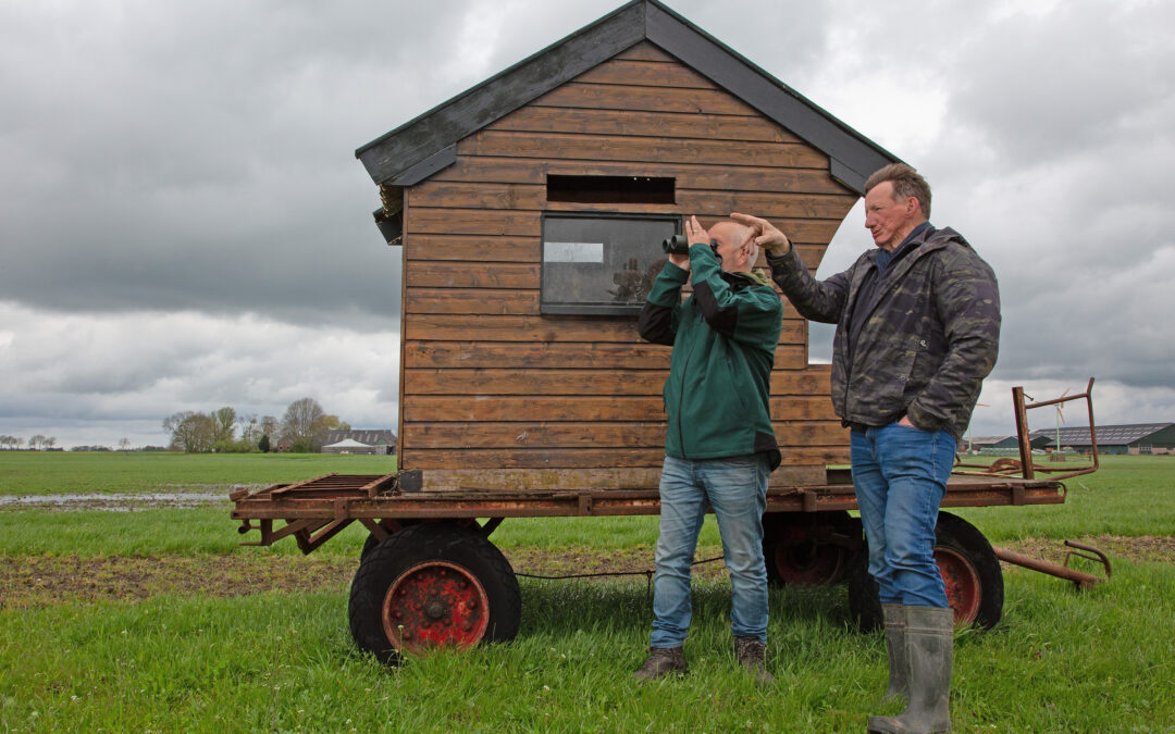 Zorg voor weidevogels, als collectief en als boer