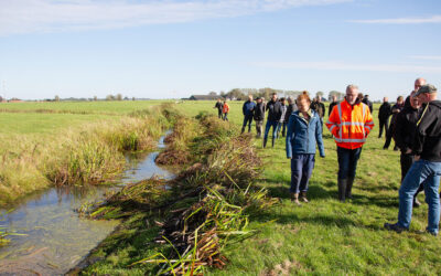 Veel belangstelling voor demo ‘Ecologisch slootschonen’ in Den Ham