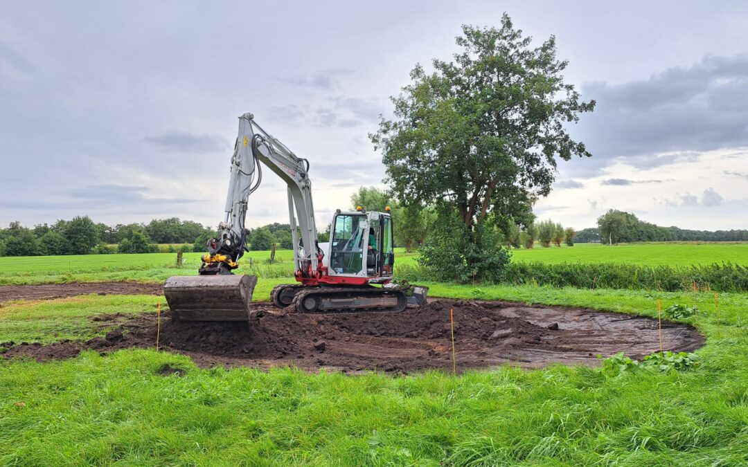 Nieuwe poelen goed voor biodiversiteit en mooi voor het landschap