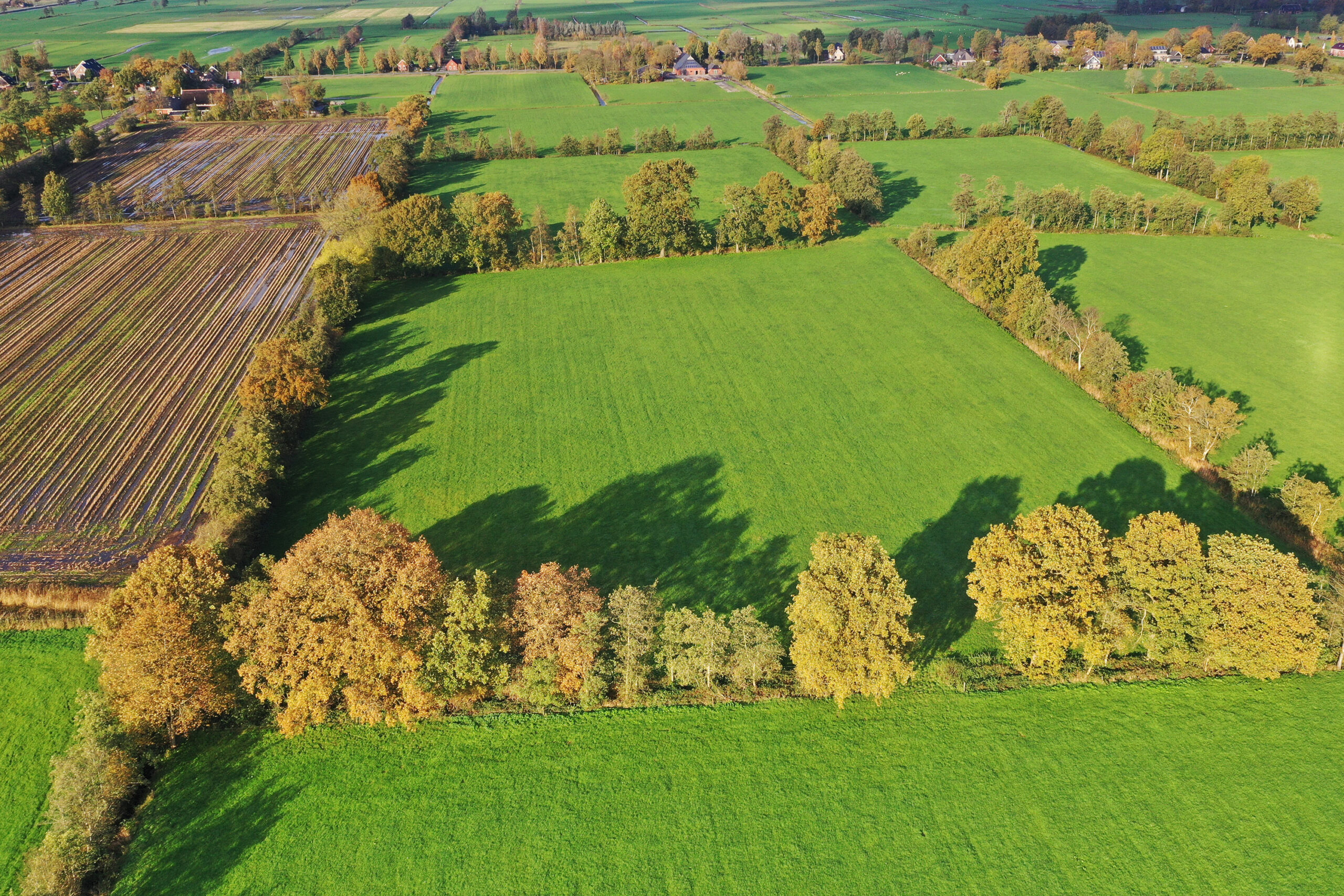 Toelichting beheerpakketten landschap 2026