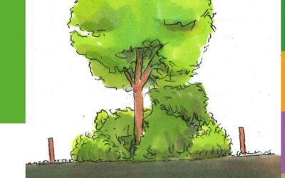 Bekijk de Beheergids Zuidelijk Westerkwartier!