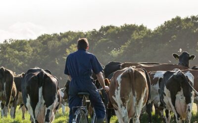 Woensdag 11 februari: Verlaging ammoniak- en methaanemissies; voordelen en uitdagingen in de praktijk