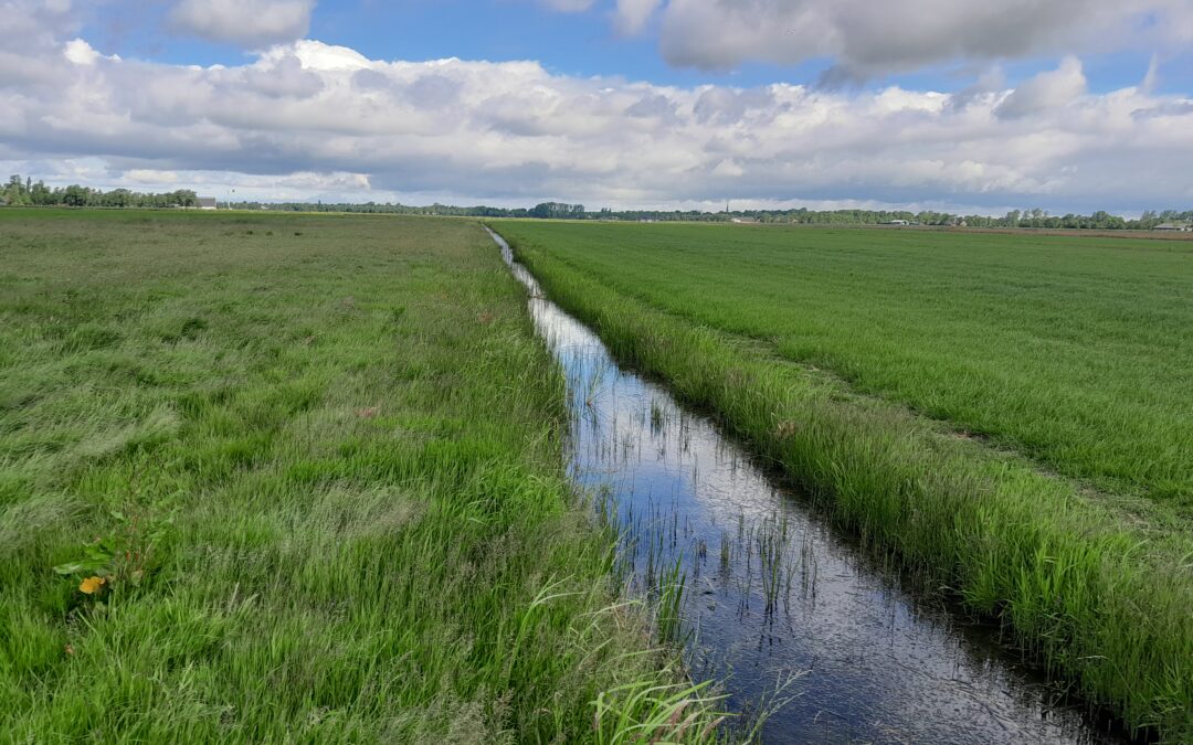 16 boeren doen aanvraag voor project Vitaal Veen Westerkwartier