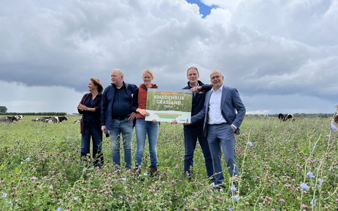 Korting op kruidenrijk grasland en andere duurzame maatregelen in Westerkwartier